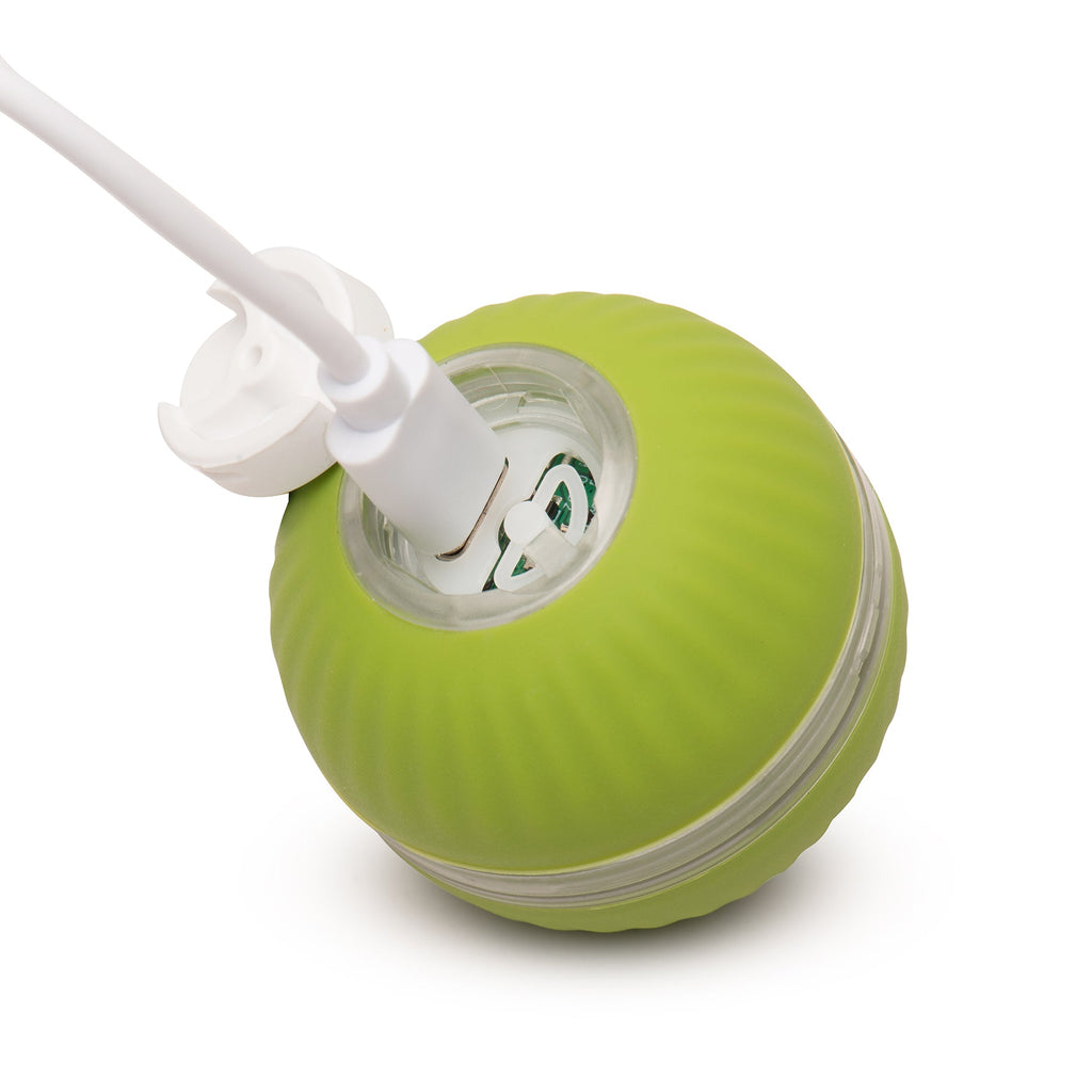 HuggleKats® PlayKat® Interactive Cat Toy